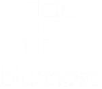 BlueHost بلوهوست